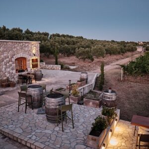 Tour y cata de vinos en Viñedo Šibenik